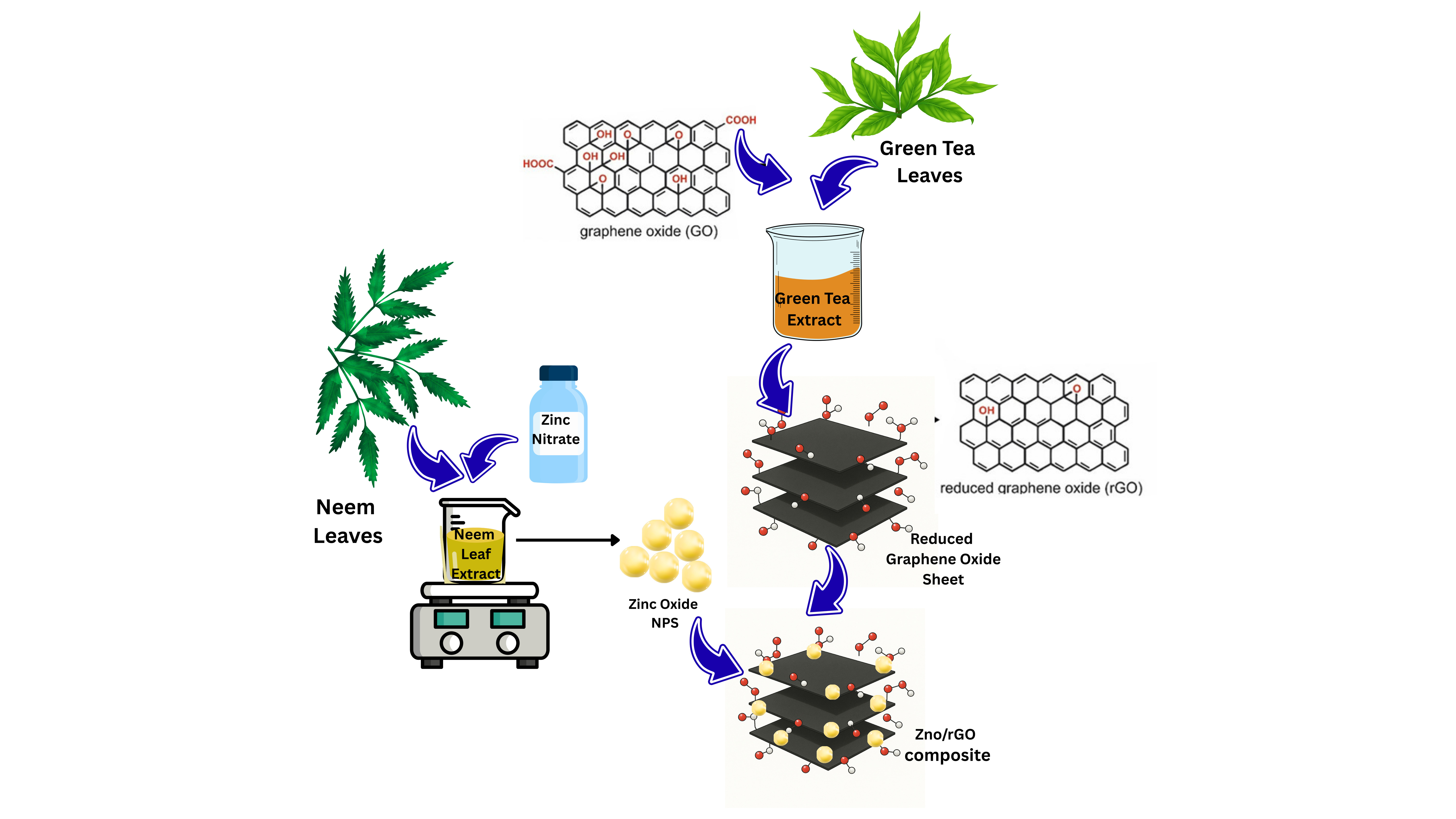 Green Synthesized rGO-ZnO Nanocomposite
